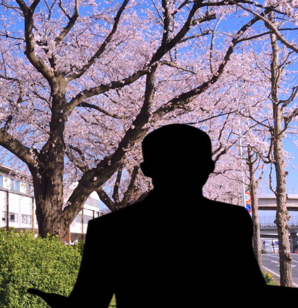桜並木と男